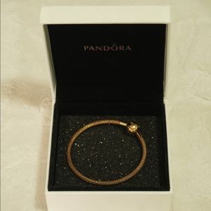 Pandora Moment Mesh Bracelet